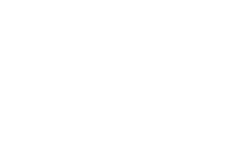 Hilton College Logo