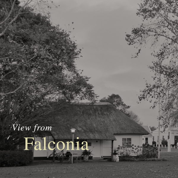 View from Falconia No 1 2020