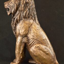 iBhubesi - McKensie House, Hilton College maquette